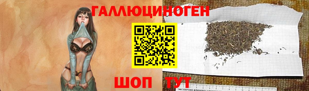 Галлюциногенные грибы прущие грибы  Вход с VPN  Луховицы  Псилоцибиновые грибы мицелий 